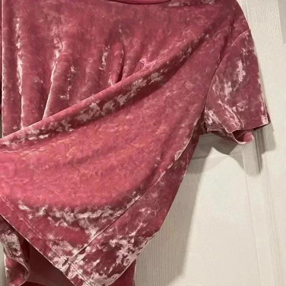 Victoria’s Secret PINK Crushed Velvet Crop Top Cree Neck Dog Logo Size Medium - Picture 7 of 10